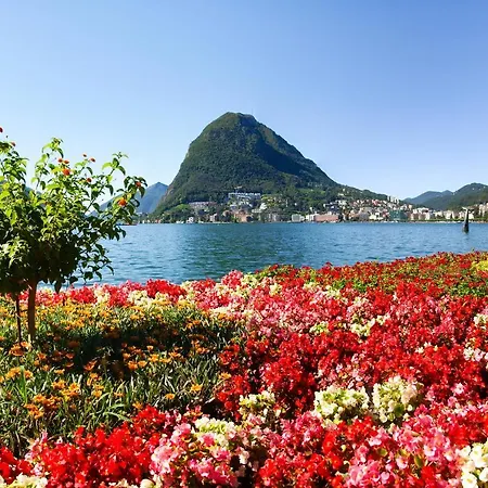 Casita Verde - Happy Lugano
